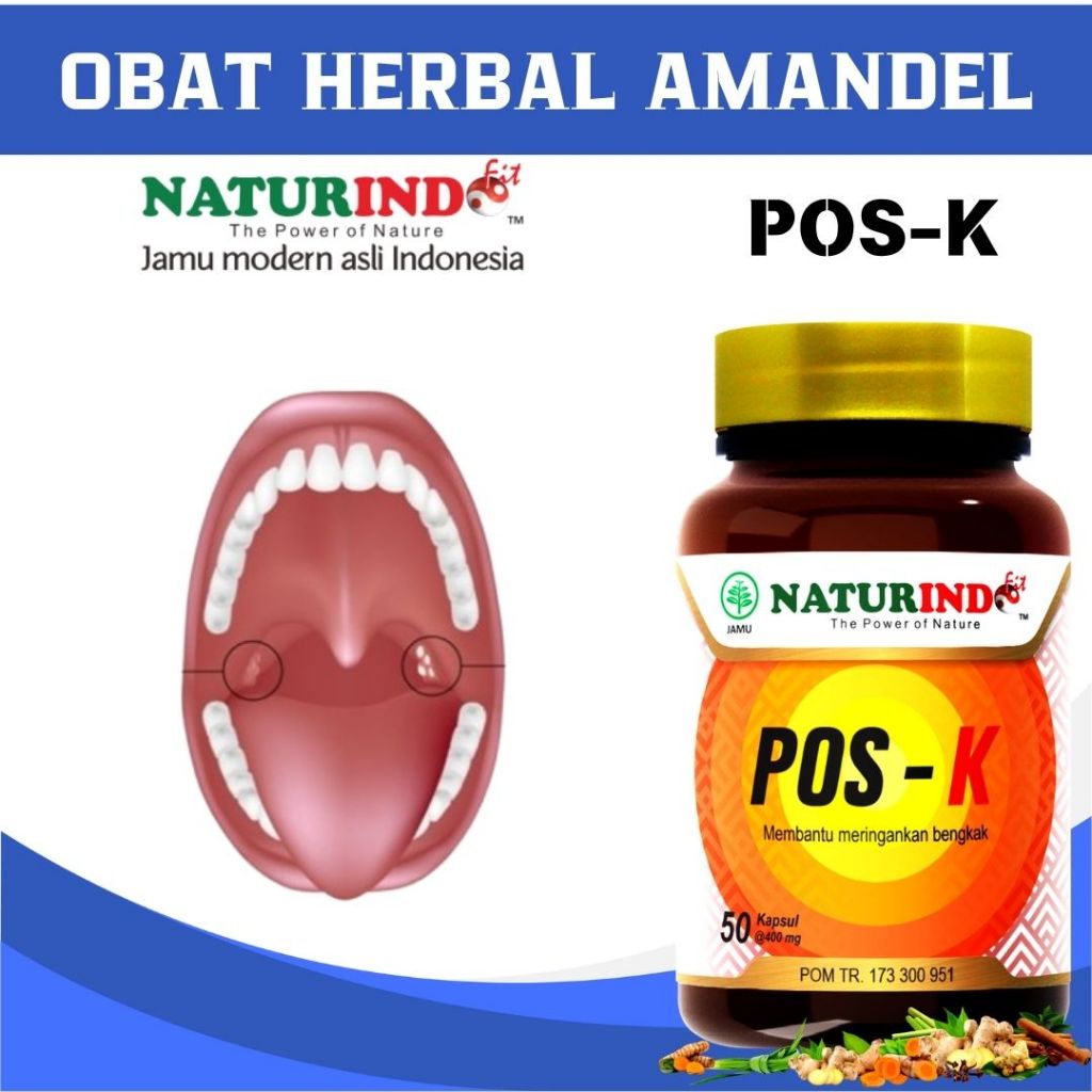 Obat Amandel Paling Ampuh Obat Amandel Bengkak Obat Amandel Anak Obat Amandel Untuk Anak Obat Radang