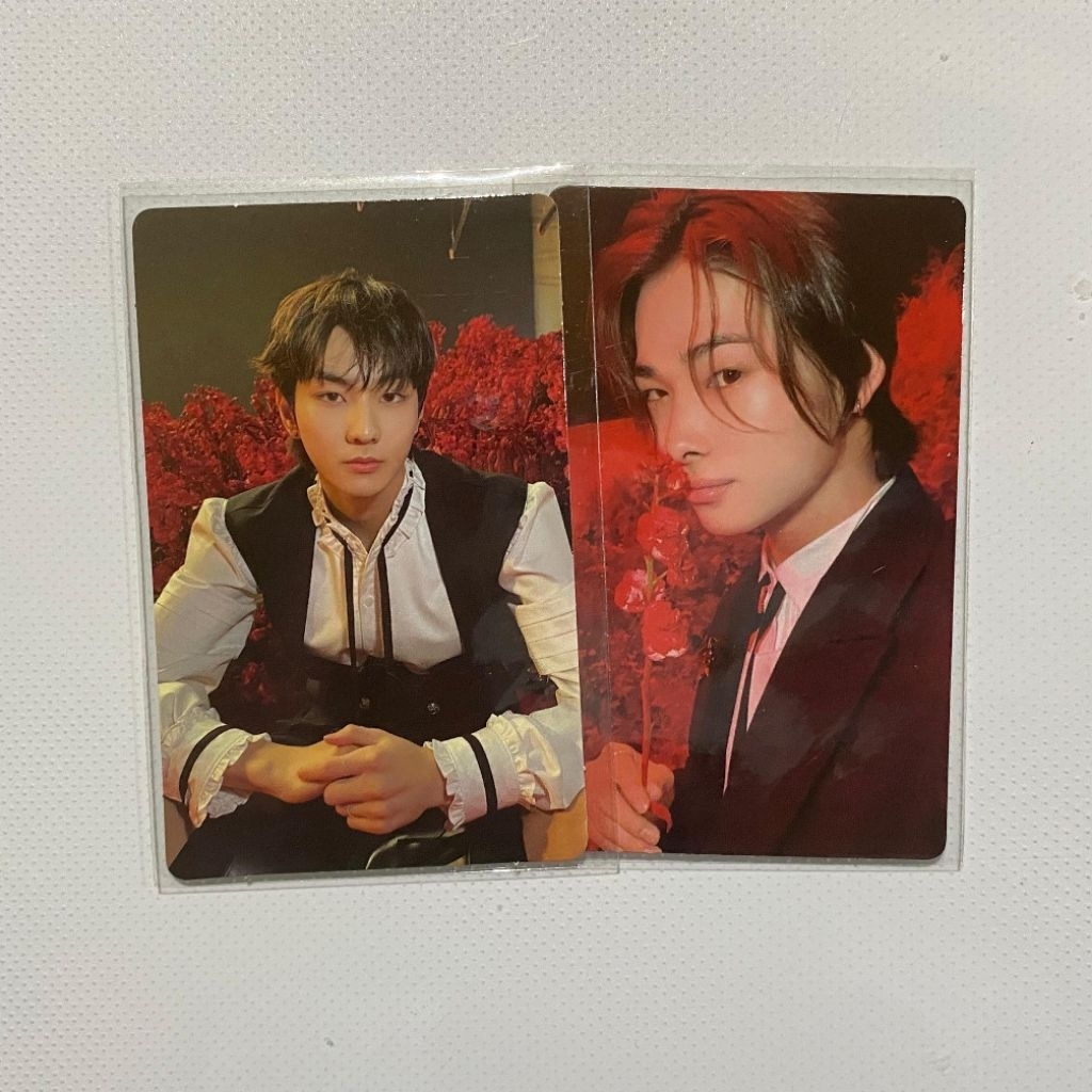 PHOTOCARD ENHYPEN DARK BLOOD (SET JUNGWON NI-KI)