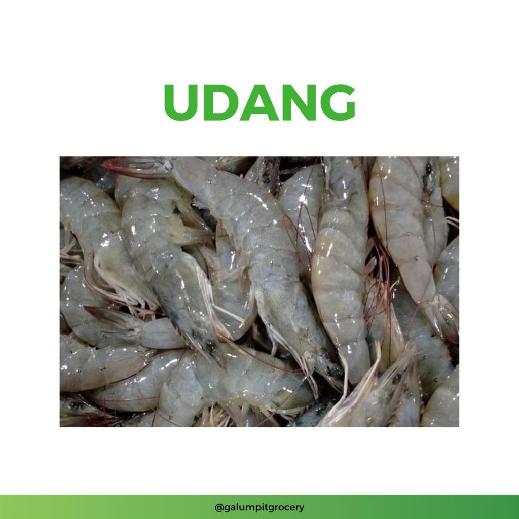 Udang Besar Segar 230-250gr | Kirim Instant Bandung Timur