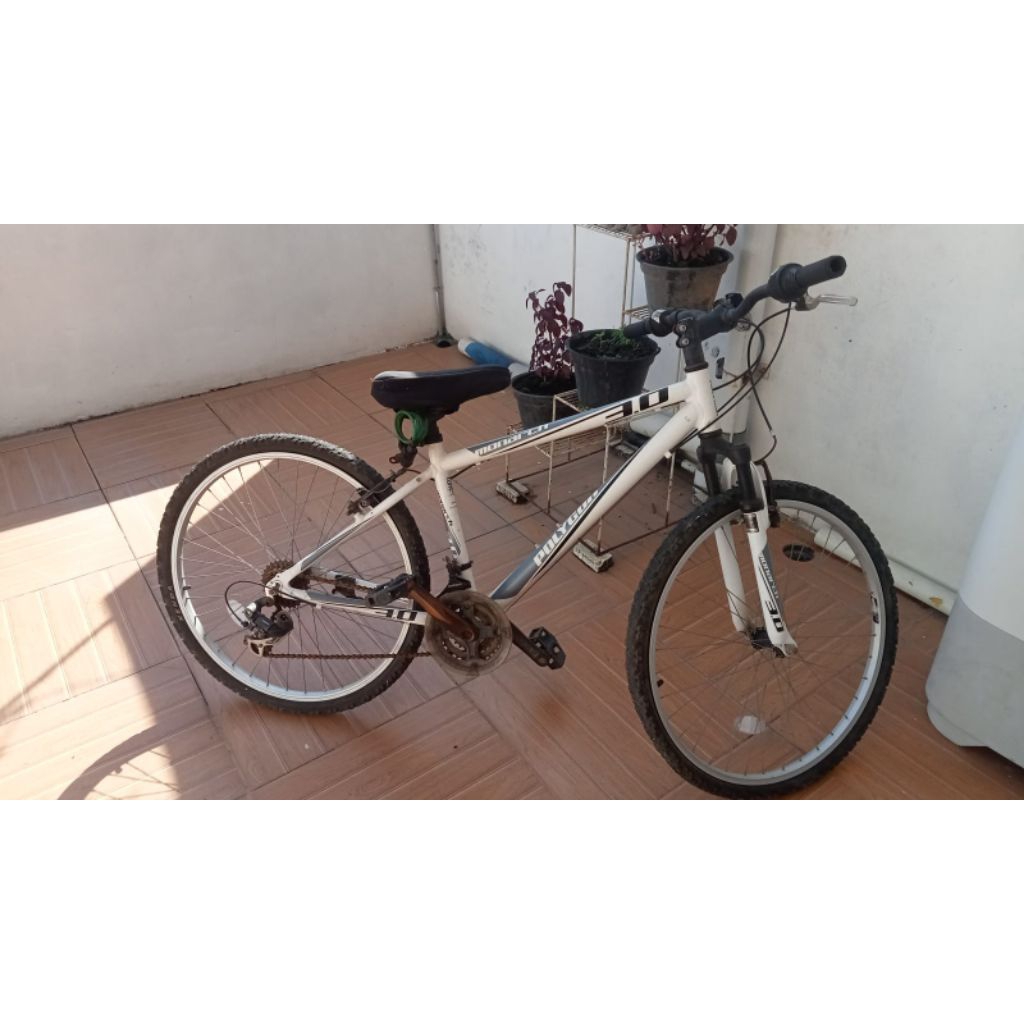 sepeda bekas polygon