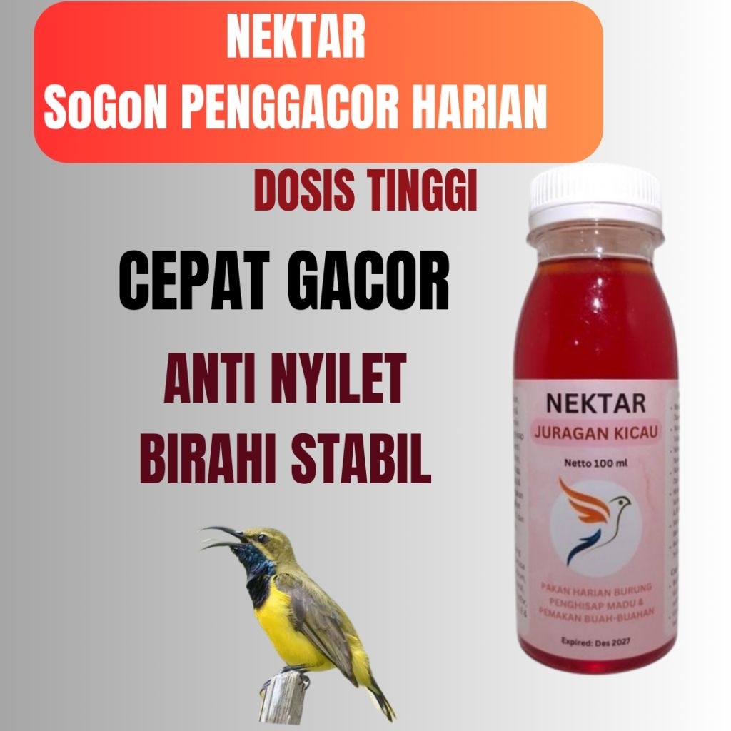 Juragan Kicau Nektar Sogon Penggacor Harian Dosis Tinggi Biar Cepat Gacor Konslet ‎