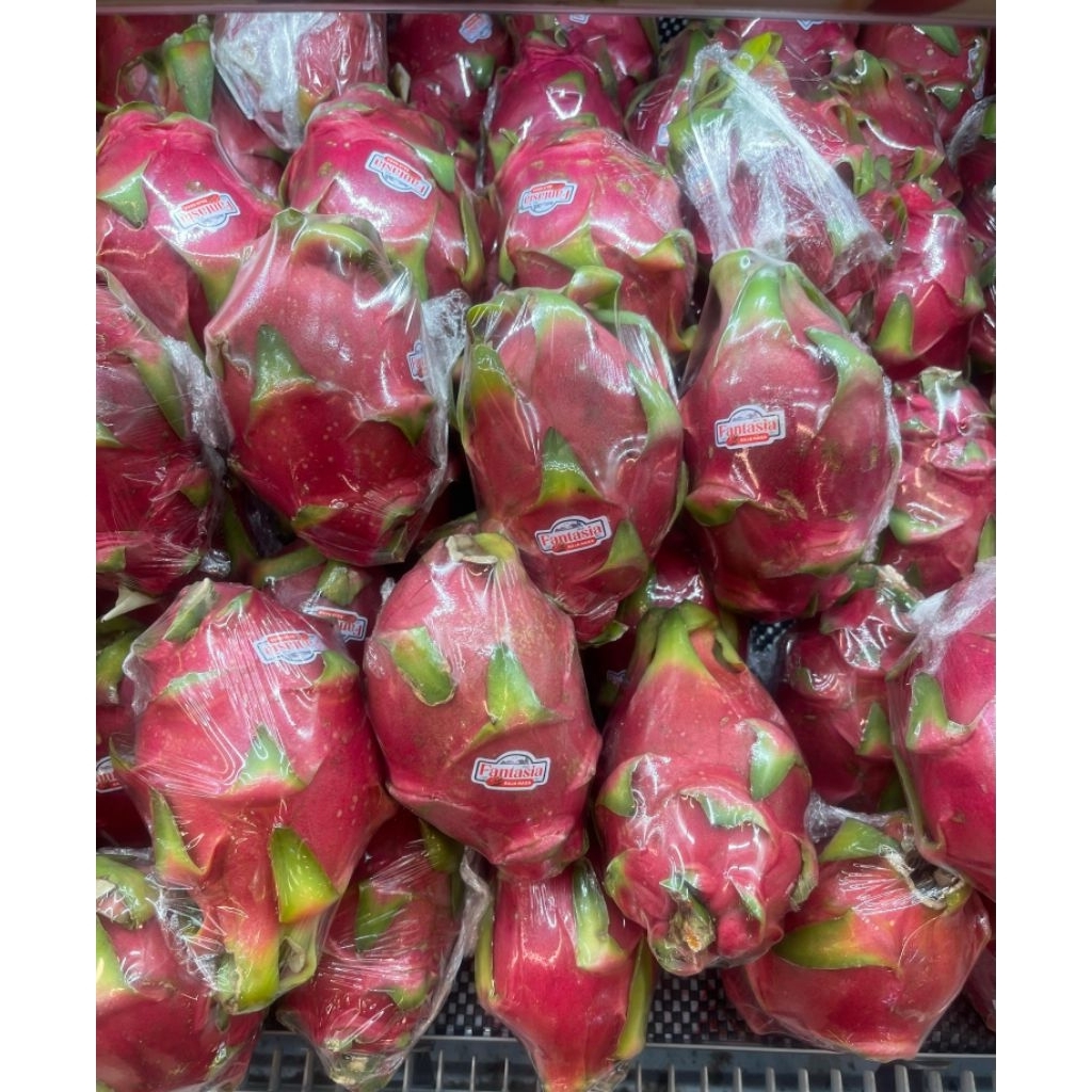Buah Naga Putih Premium Organic Fresh 1 Kg