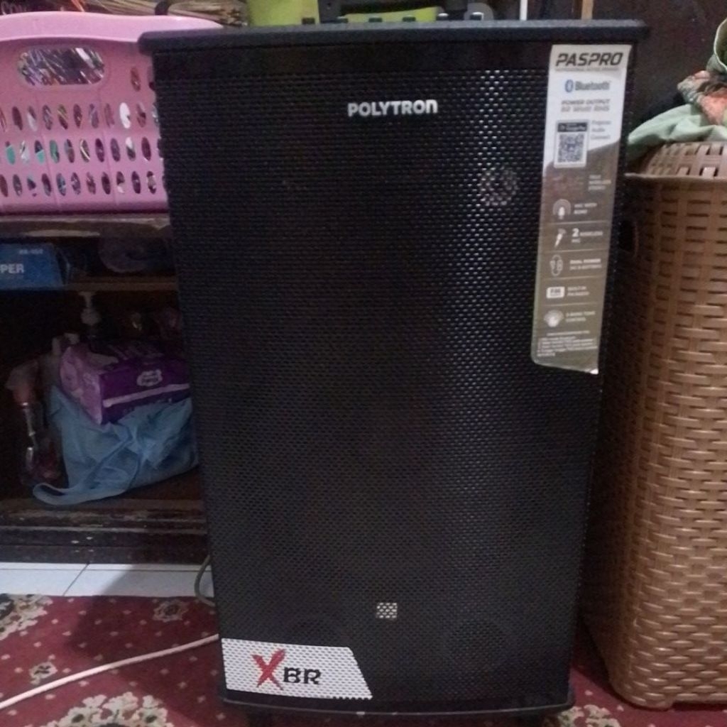 Polytron paspro 12 xbr