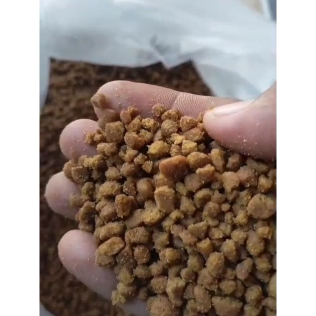 rc dogfood pecahan20kg