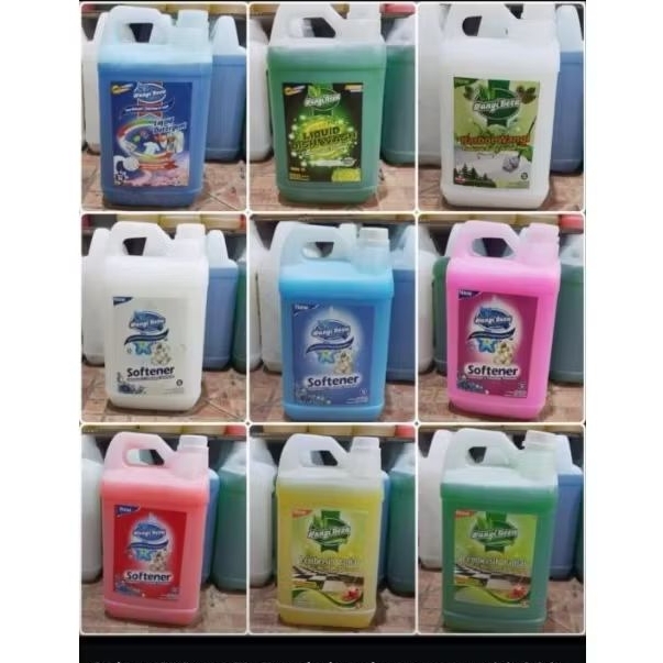 Detergen Drigen 5Liter