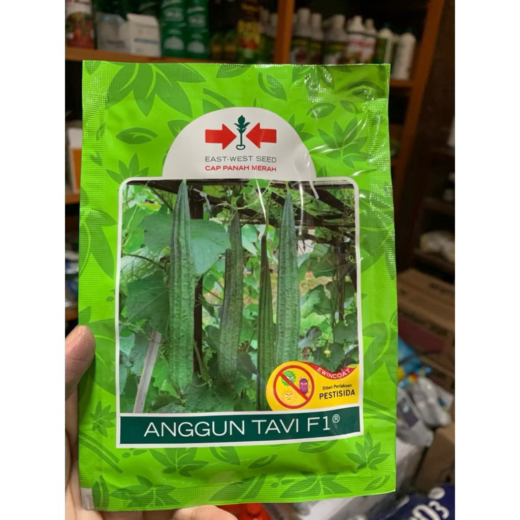 benih gambas /oyong ANGGUN TAVI 75 butir cap panah merah