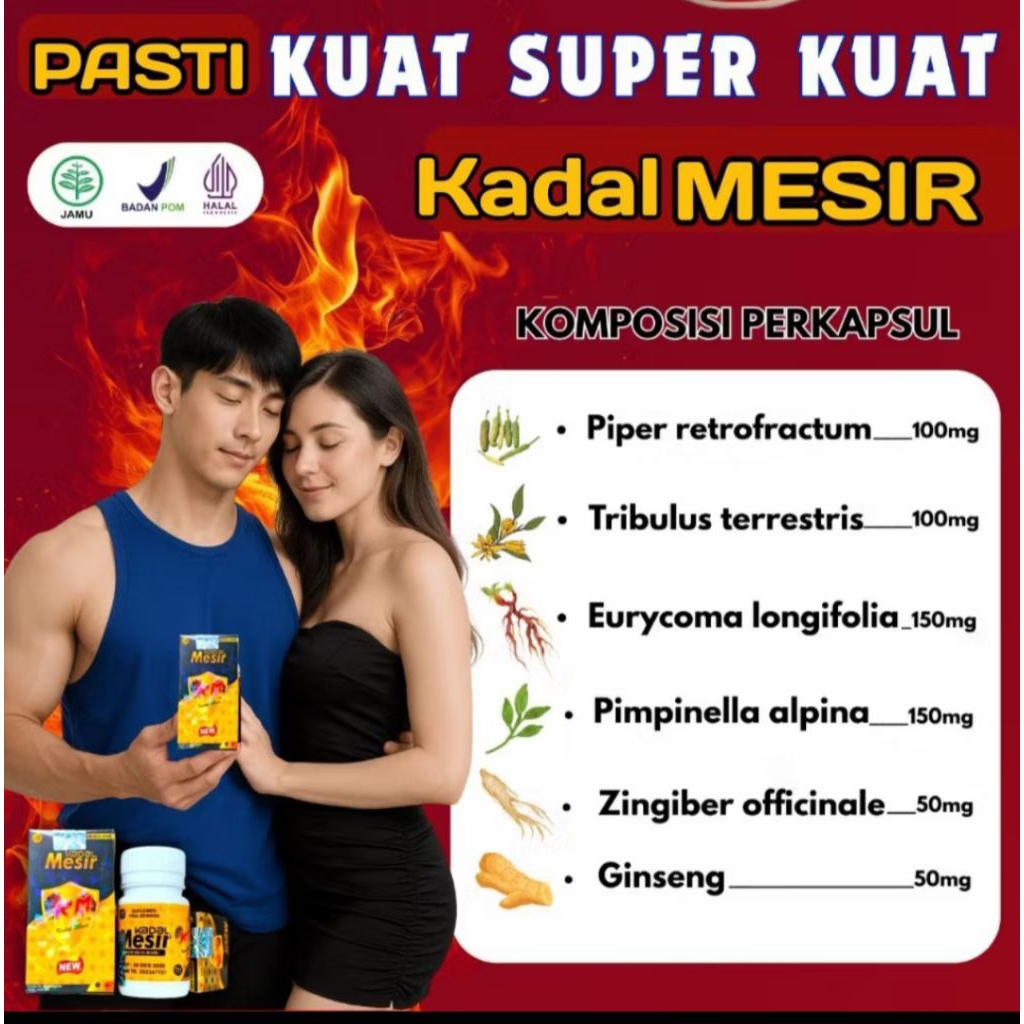 Kapsul Kuat & Tahan Lama New Km Kadal Mesir, 100% Herbal & Aman Terpercaya