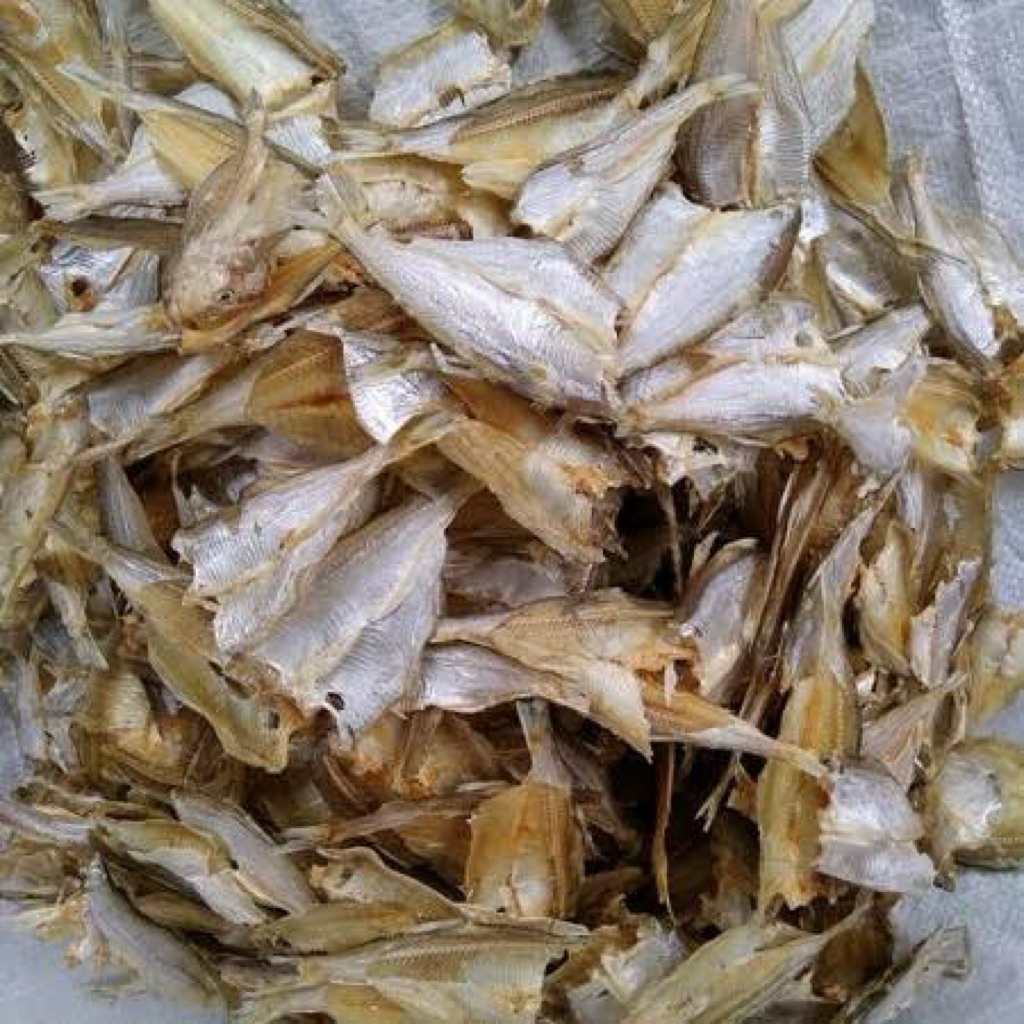 IkanAsinBilisTawar/Bilis