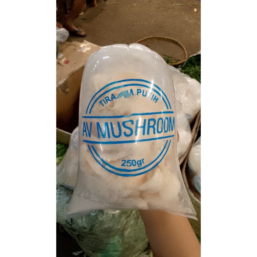 JAMUR TIRAM / JAMUR PUTIH LOKAL SUPER FRESH