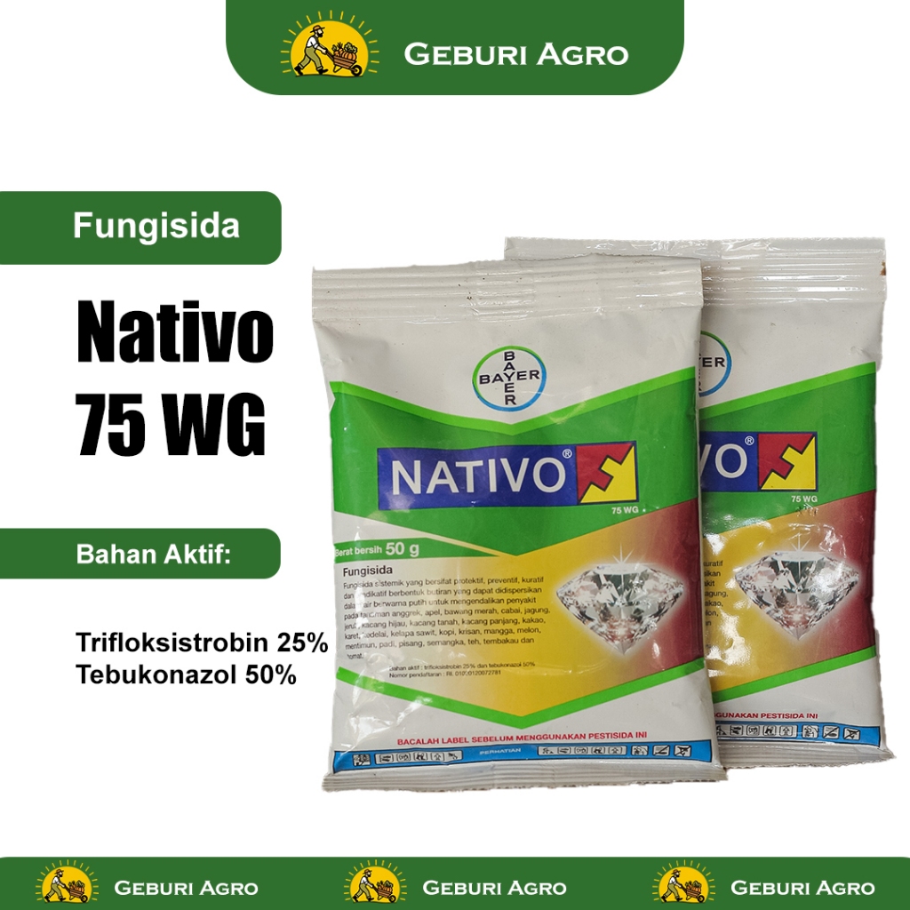 50gr - FUNGISIDA NATIVO 75WG TRIFLOKSISTROBIN TEBUKONAZOL FUNGISIDA SISTEMIK KUAT EFEKTIF OBAT MEMBA
