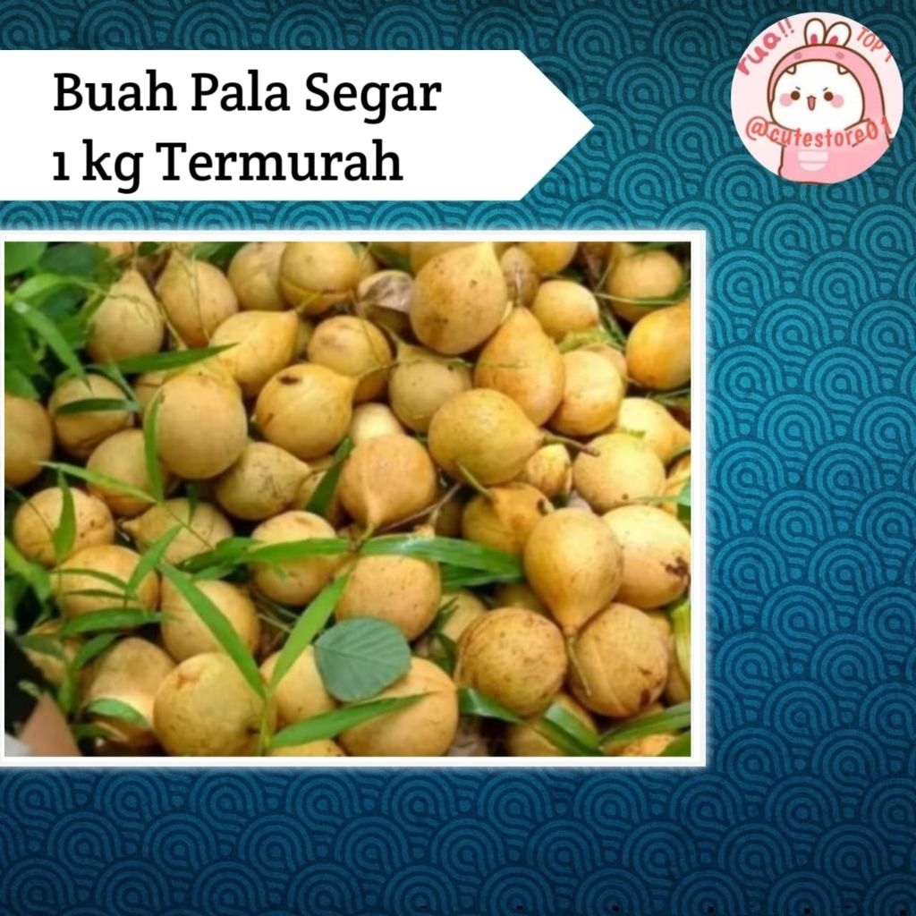 Buah Pala 1kg Termurah