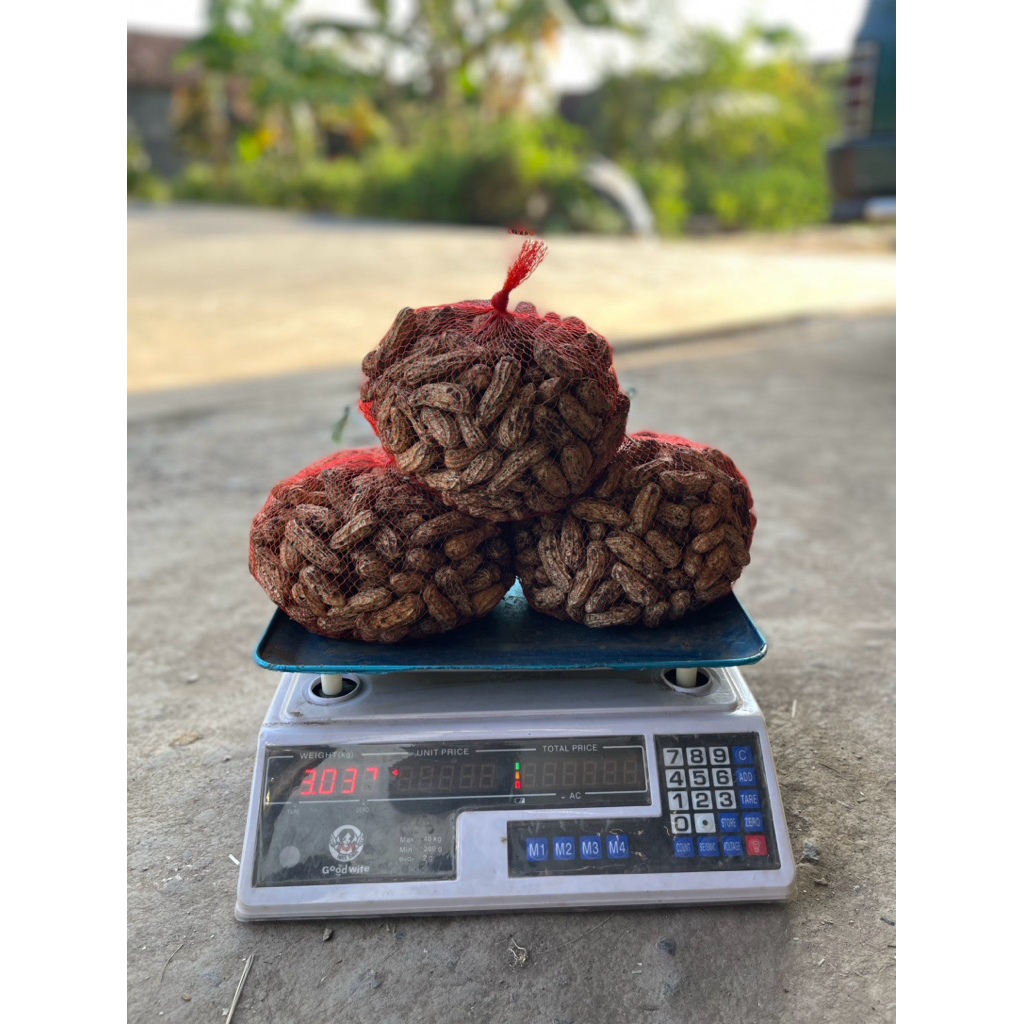 Kacang Tanah / Kacang Kulit Fresh  – Cocok untuk Rebus & Gorengan