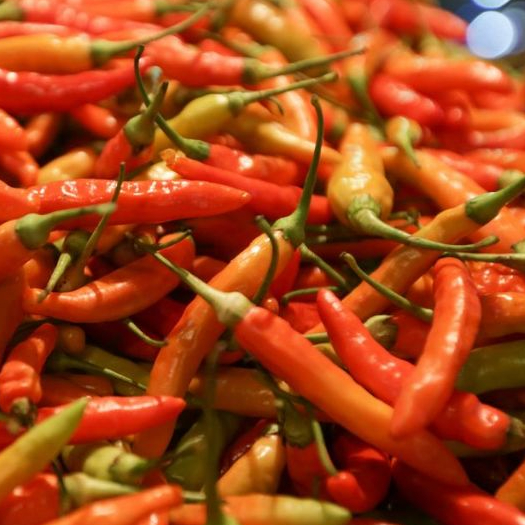 Cabe Rawit Merah Cabe Setan Rawit Setan Segar 100gr | Sayuran ID Padang