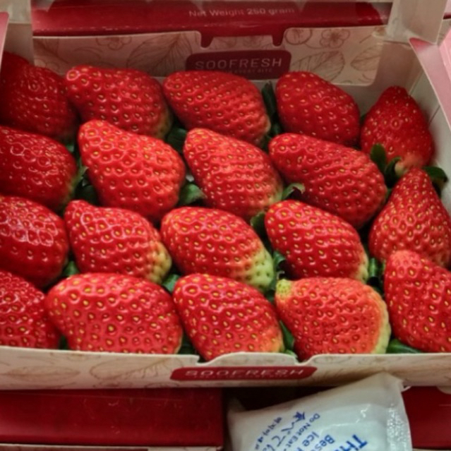 Strawberry korea fresh 250gram