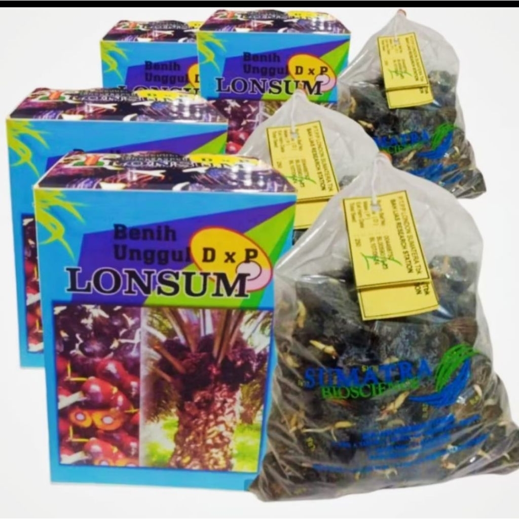 Bibit Sawit OriginaL ungguLan & Bersertifikat (DXP LONSUM)
