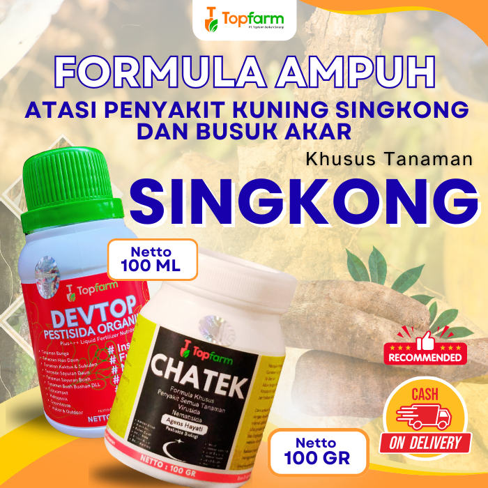 Pestisida Tanaman Singkong / Obat Hama Daun Singkong / Obat Pembasmi Hama Ulat Daun Singkong / Obat 