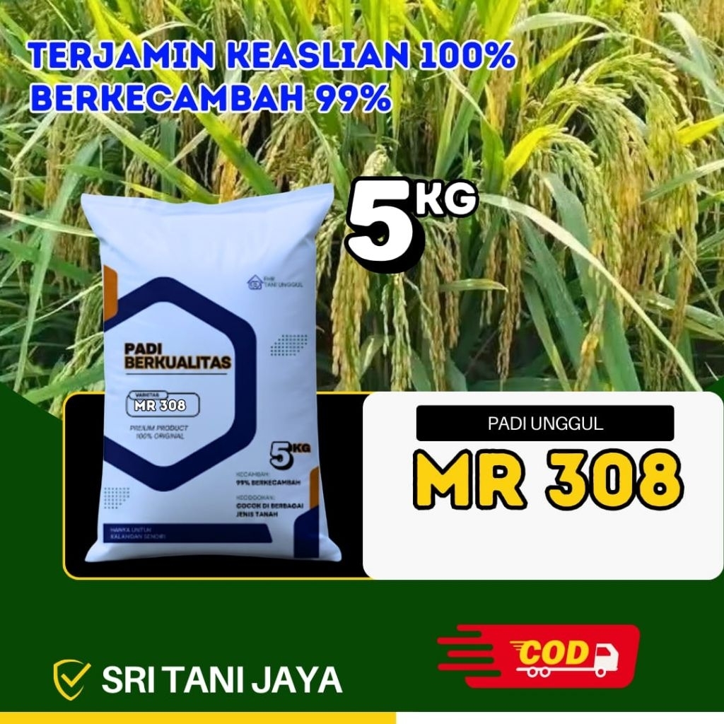 Benih padi unggul MR308 kemasan 5kg original