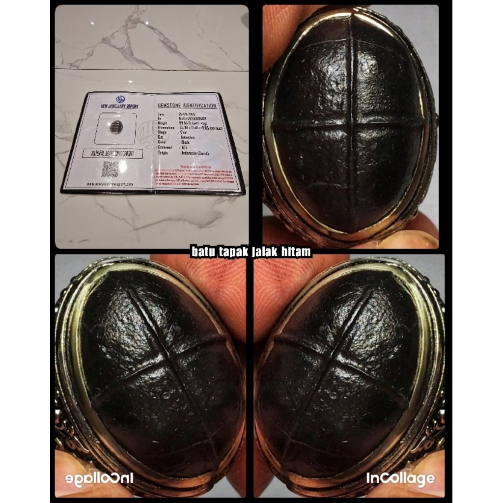 original batu tapak jalak hitam super jumbo asli indonesia