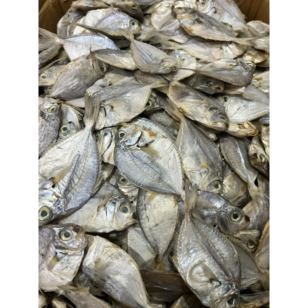 ikan asin dodok gereh dodok kualitas premium asli tuban