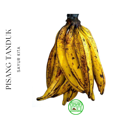 Pisang Tanduk Sukabumi 1 pcs