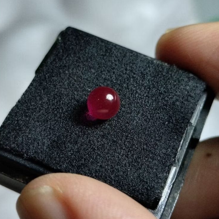 Batu buntat lipan merah origin