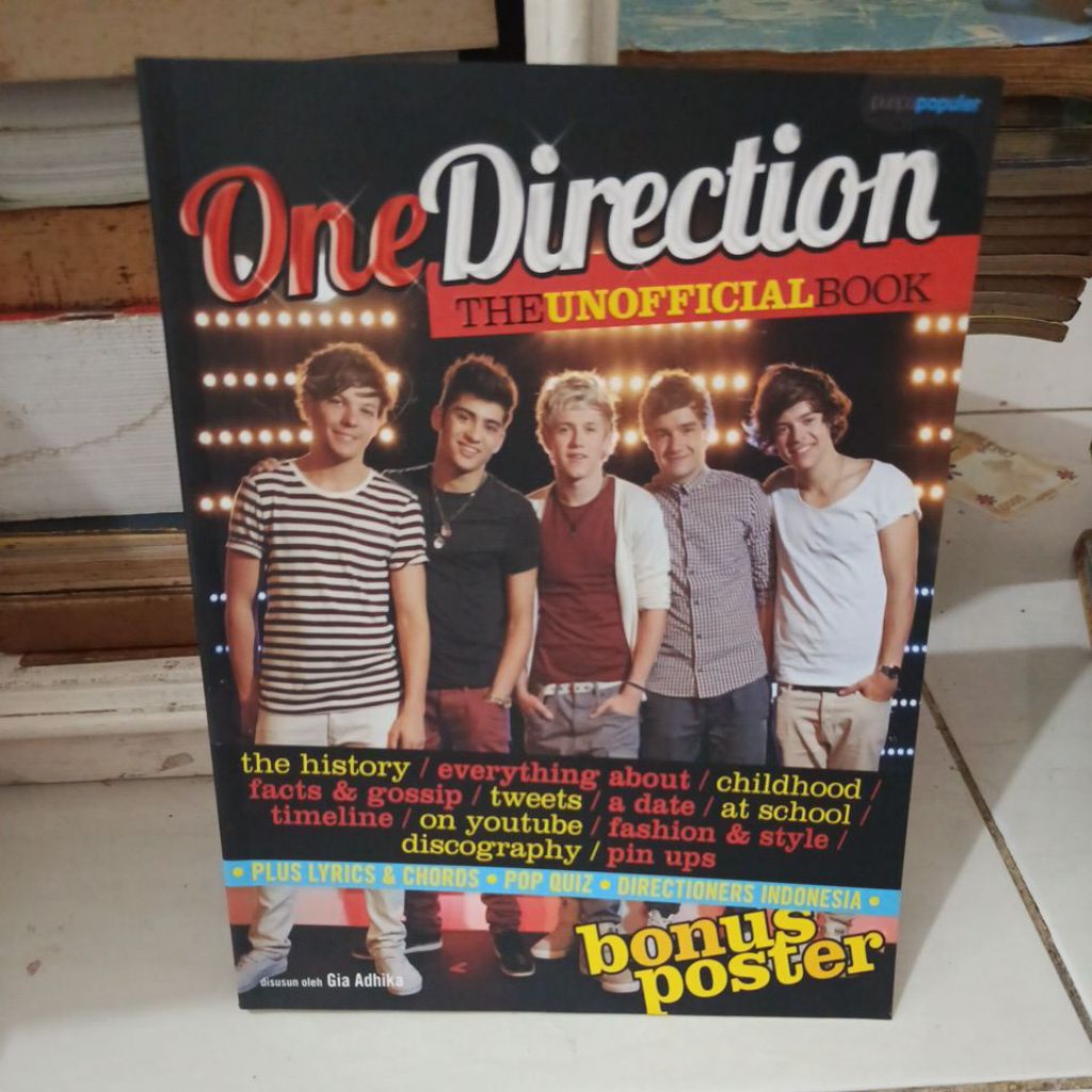 buku one Direction the unofficialbook