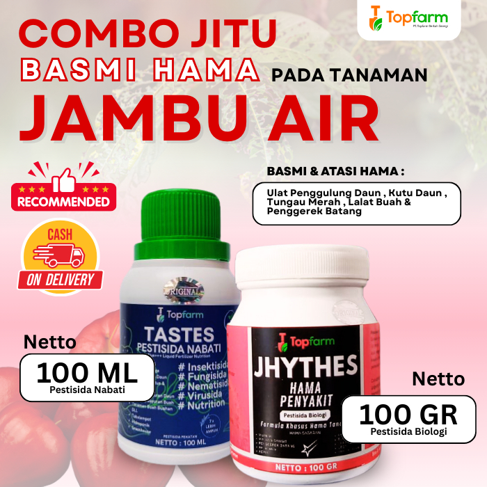 Insektisida Buah Jambu Air / Obat Hama Ulat Buah Jambu Air / Obat Anti Ulat Buah Jambu Air / Insekti