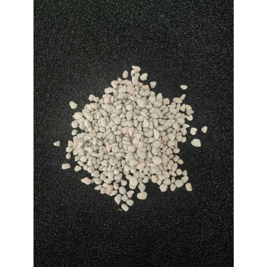 pumice 1kg media tanam kaktus sekulen batu apung lembut