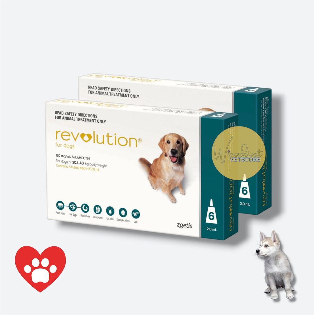 Revolution Teal Dog Hijau Tube 2ML Obat Kutu Anjing-Winadivet store