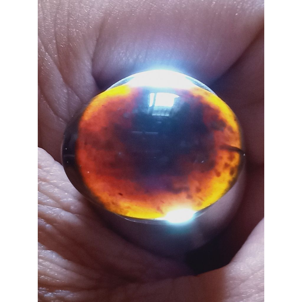 Batu Fosill Kelor Kristal Telur Kodok