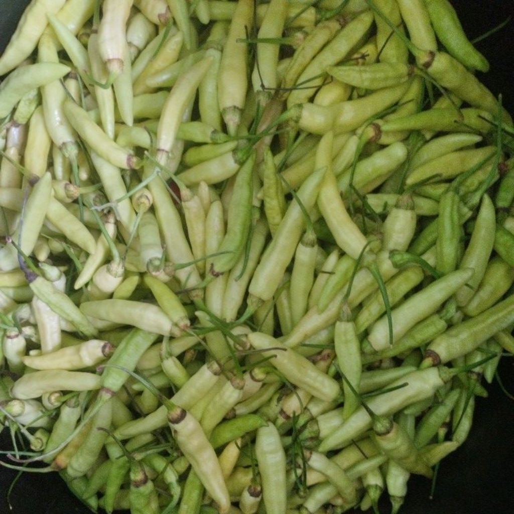 Cabe Rawit Hijau 1kg