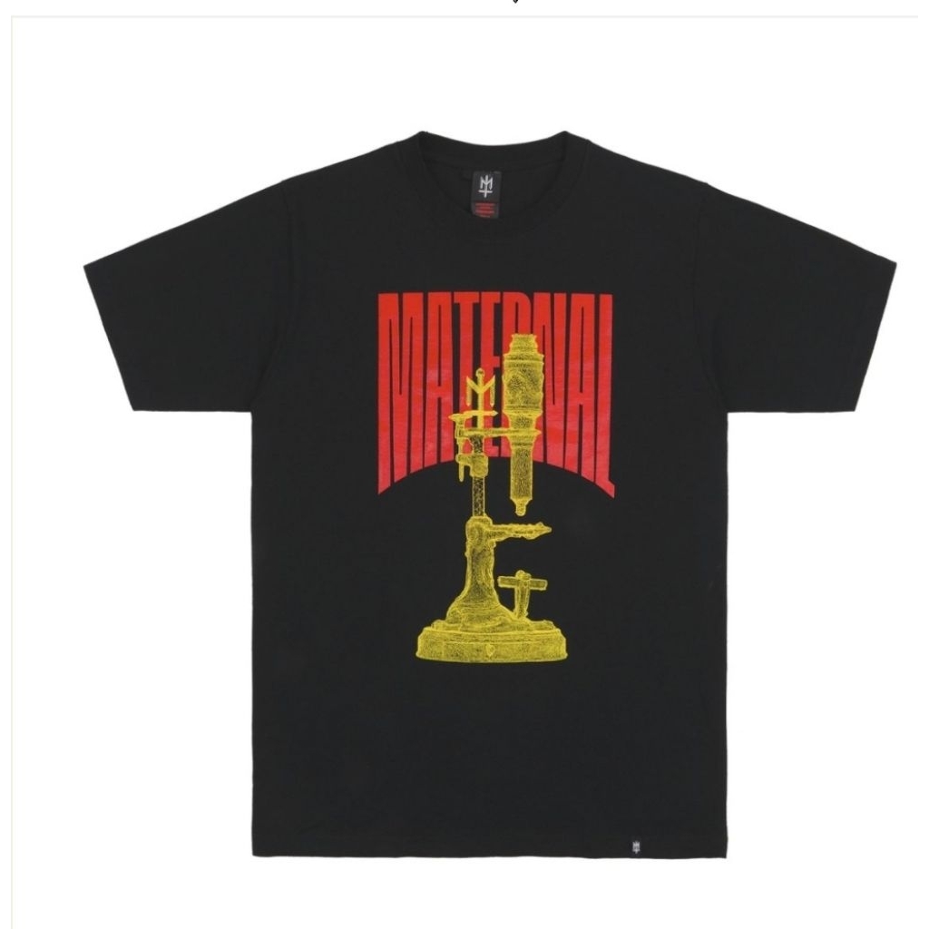 TS MATERNAL_DISASTER