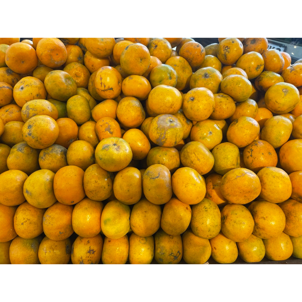 Jeruk Medan Super Manis / Jeruk Medan Super Premium 1kg