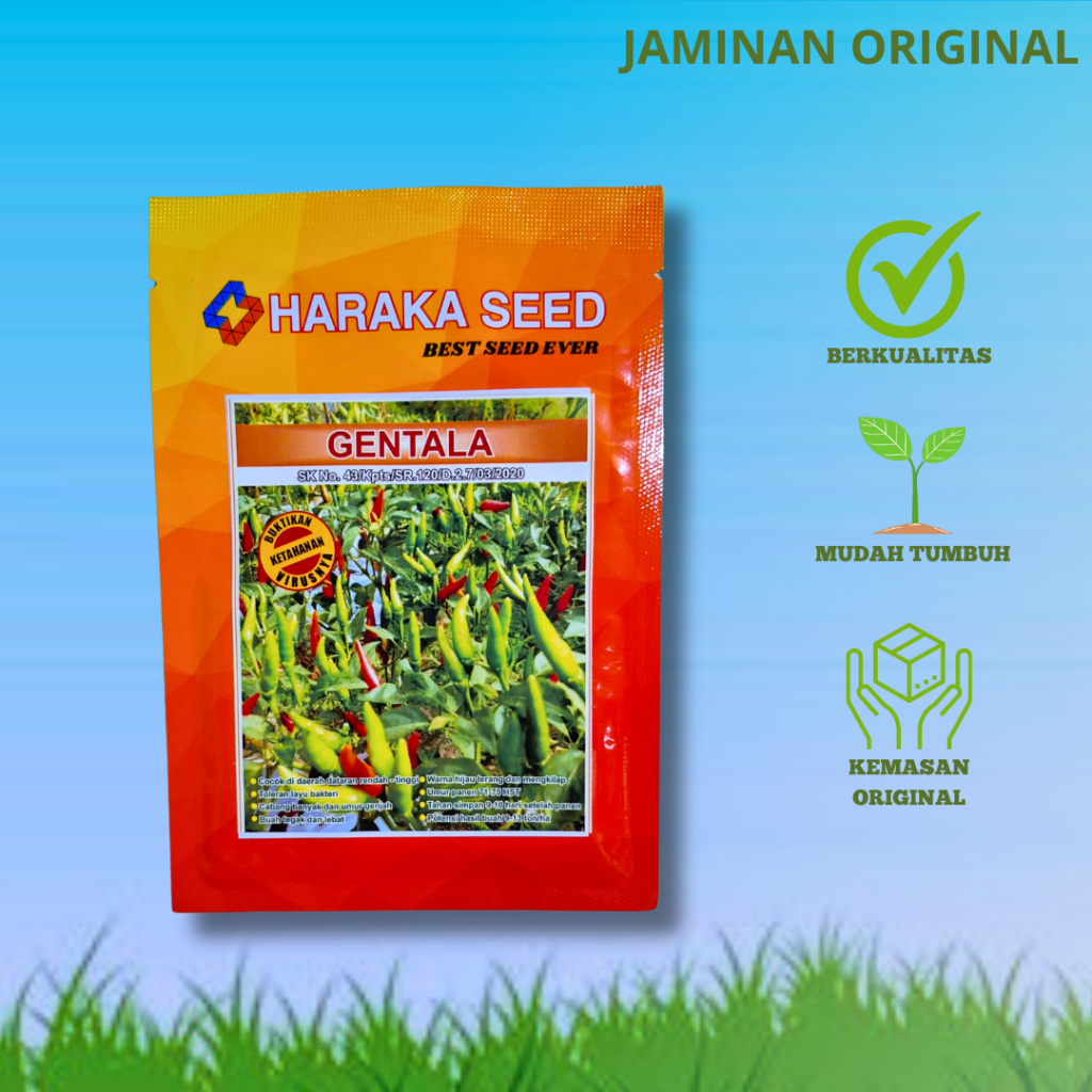 Benih Cabe Rawit Hijau Tegak Unggul GENTALA 10 gram Cap Haraka Cabai Lokal Umur Genjah Produksi Ting