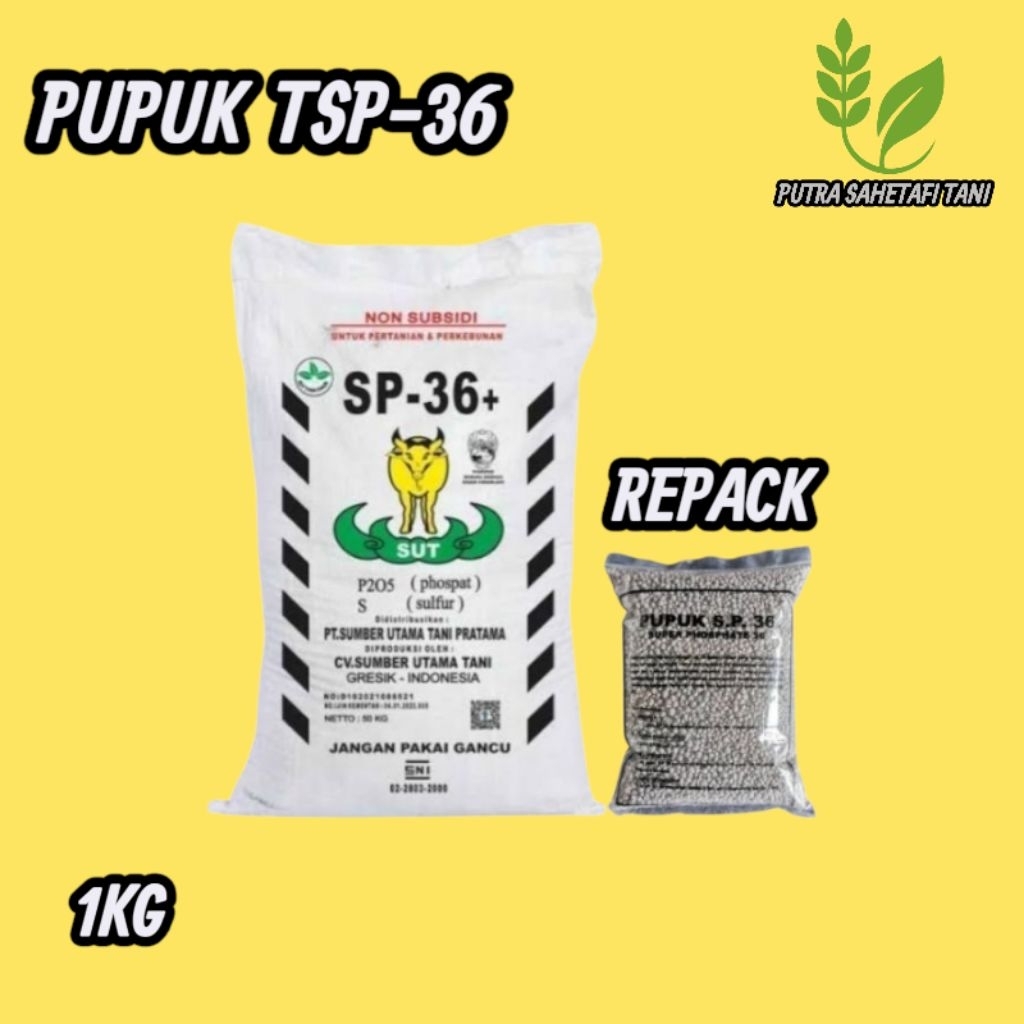 Pupuk TSP-36 Repack isi 1KG Tsp-36 Phospate Original Pabrik Bisa COD