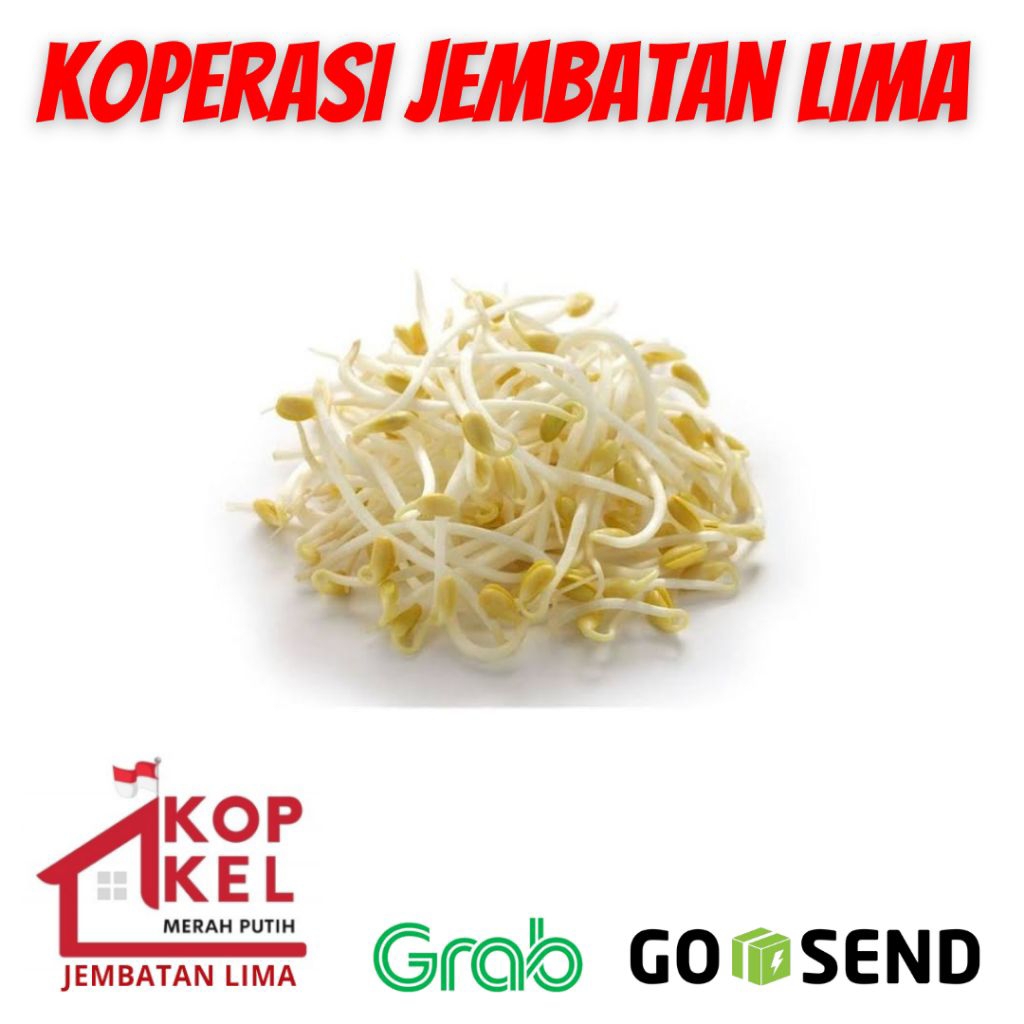 TAUGE JEPANG SAYUR TOGE 250 GRAM