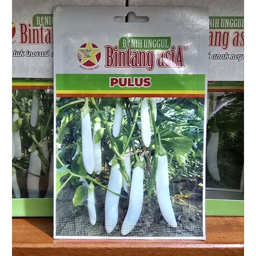 Benih Terong Panjang Putih PULUS