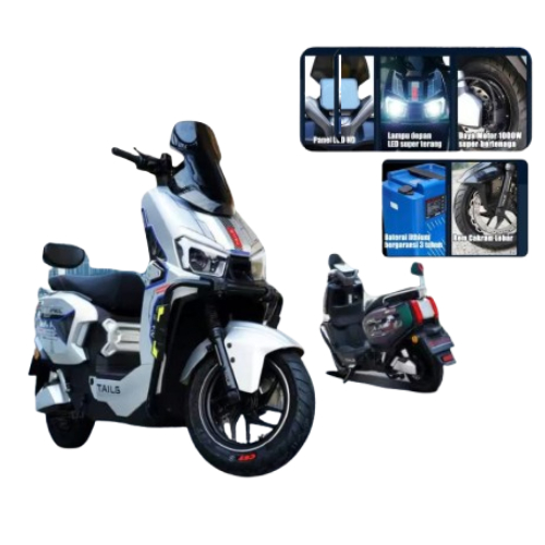 Sepeda Listrik Tailg GF80L E-Bike Power 1000W Battery Lithium Garansi Resmi