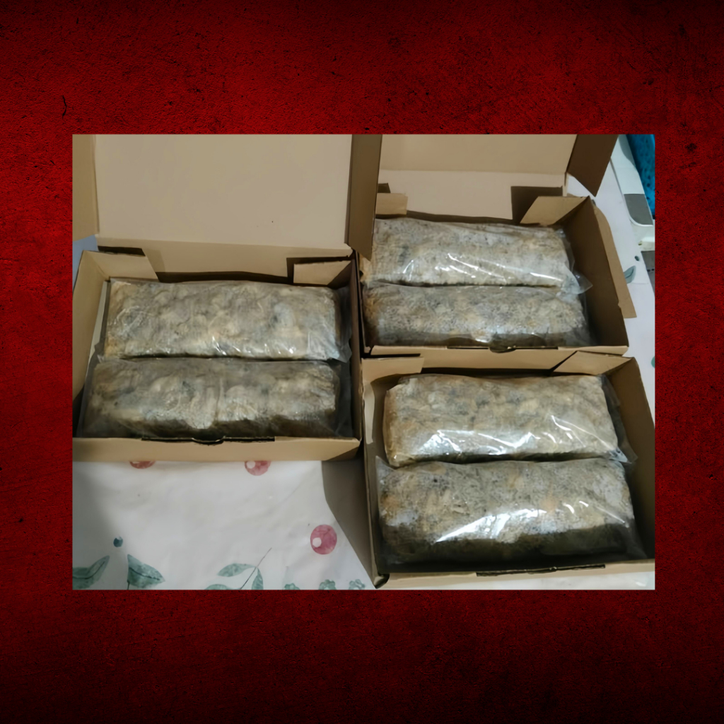 HEKENG AYAM UDANG SEMOK FROZEN