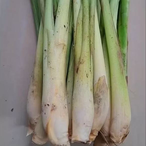 Sereh Segar Asli Murah 250 Gram Rempah Dapur Aroma Kuat | Jamu Tradisional