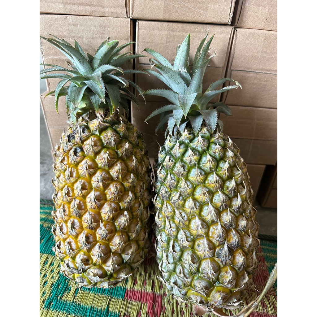 NANAS MADU GRADE A MANIS DAN SEGAR ASLI KEDIRI(1BUAH)