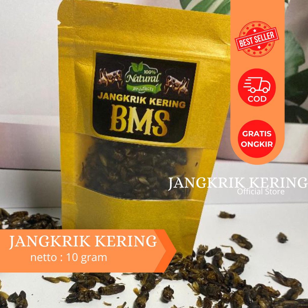 Jangkrik Kering 10 Gram – Pakan Berkualitas untuk Burung & Reptil