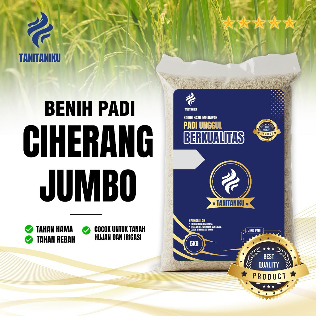 Benih padi bibit padi CIHERANG JUMBO ( gabah panjang )  kemasan 5kg kualitas premium