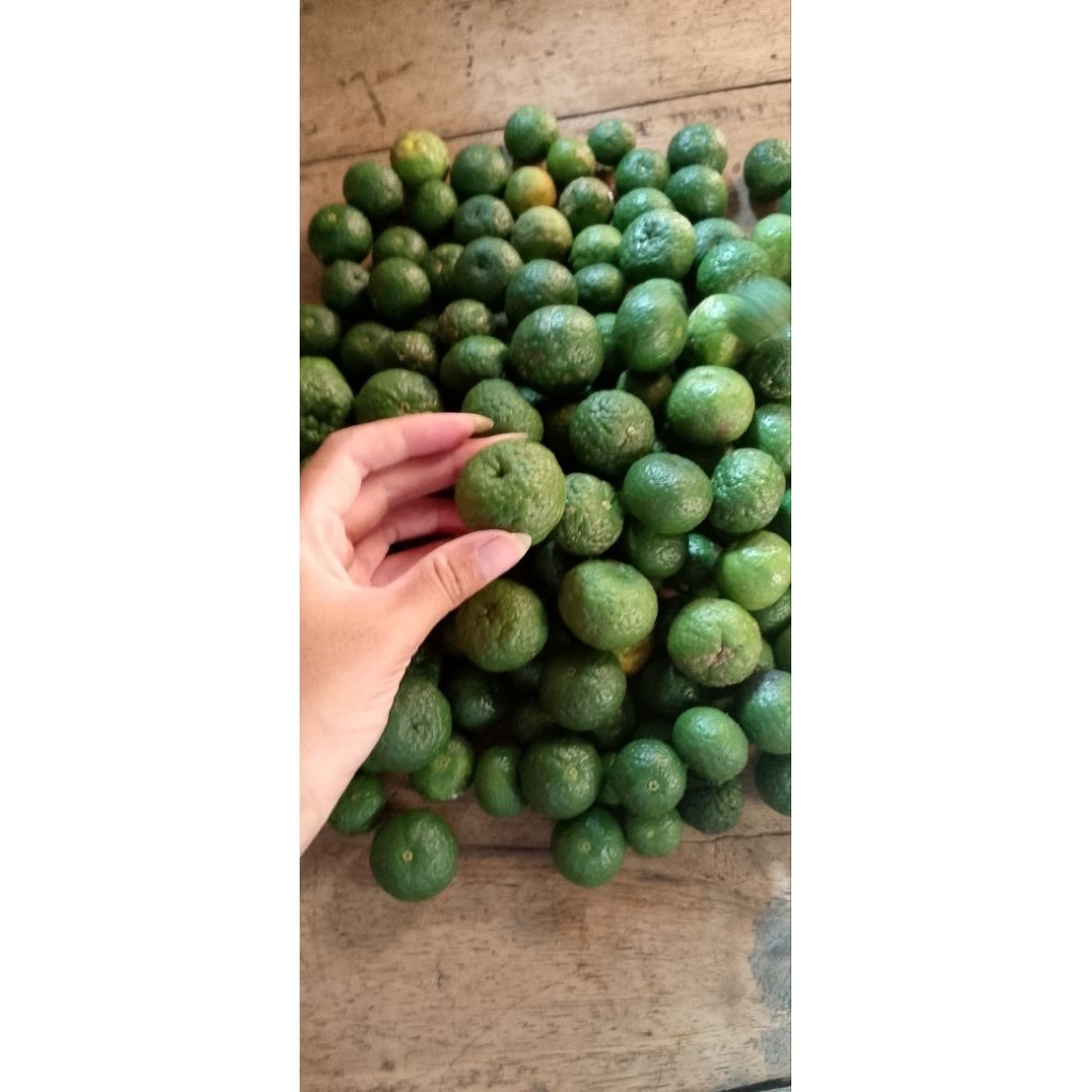 jeruk mipis/ jeruk purut 1kg