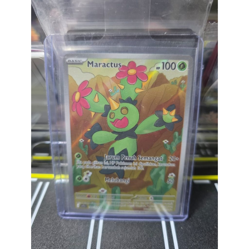 Maractus AR/Pokemon Ar/Pokemon Indonesia