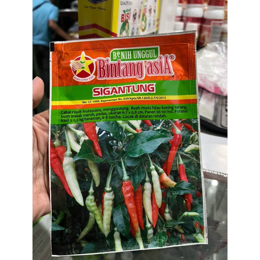 Benih Sigantung Bintang Asia
