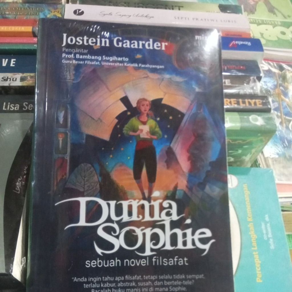 buku novel dunia shopie