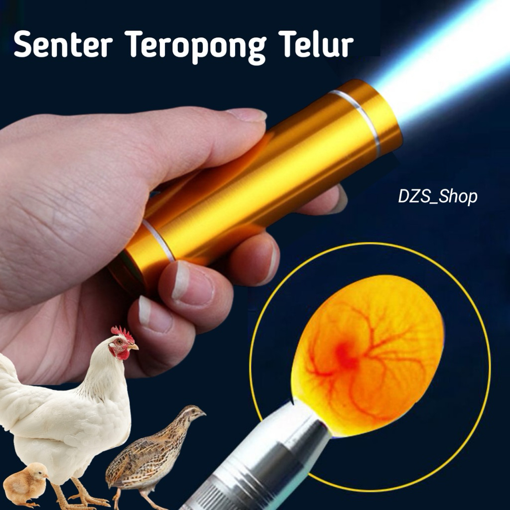 Senter Teropong Telur Ayam dan Burung Untuk Mesin Tetas Telur