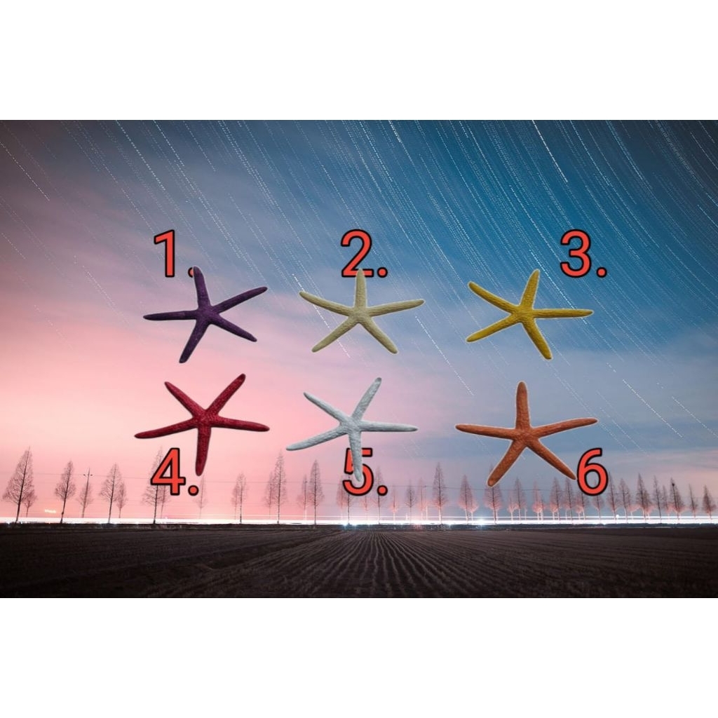 HIASAN AQUARIUM DAN TOPLES ORNAMEN TENGGELAN (BESAR)