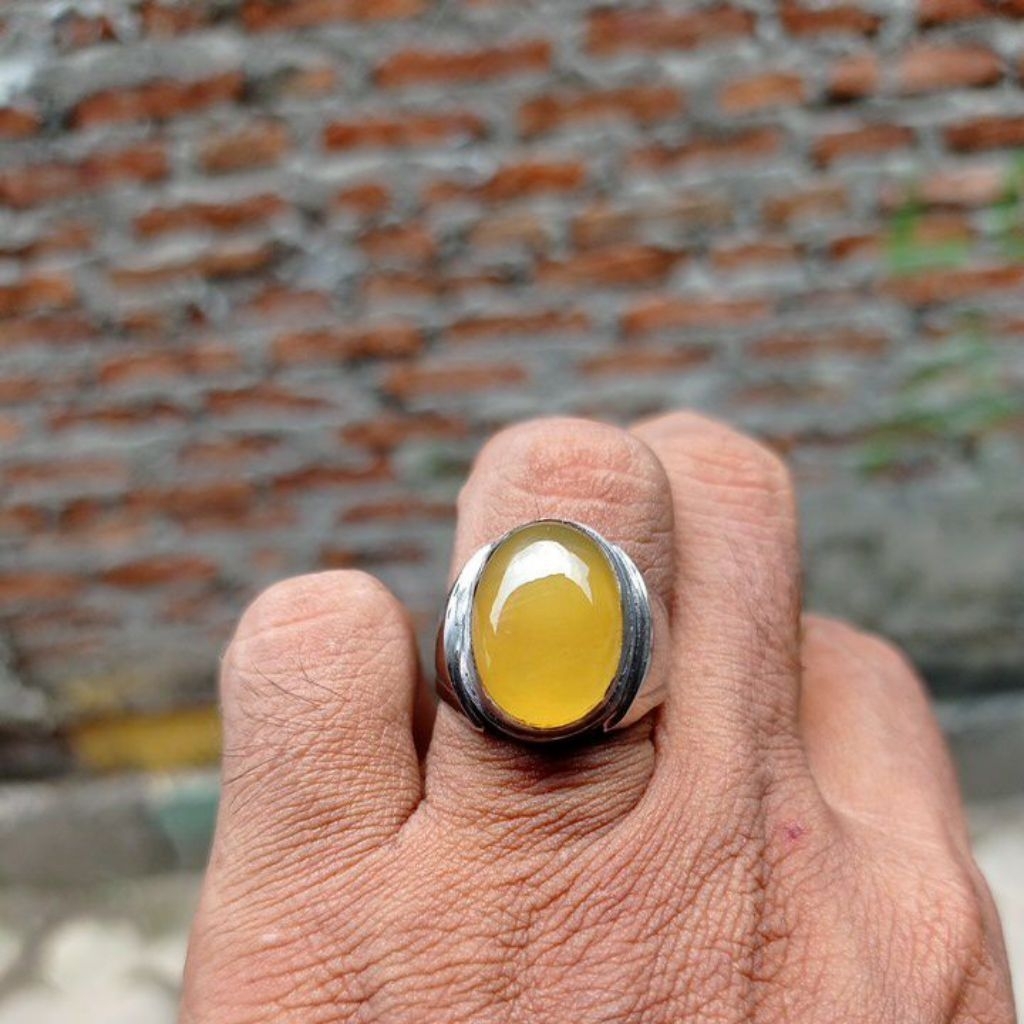 cincin batu akik raflesia sankish natural mban monel tanam